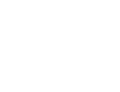 PCI Auctions Logo