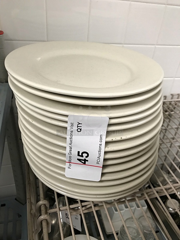 10" Porcelain Dinner Plates