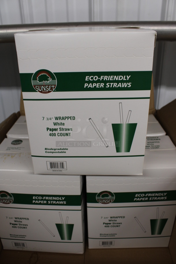 ALL ONE MONEY! Lot of 5 BRAND NEW Boxes of Sunset Eco Friendly Paper Straws. 7.75"