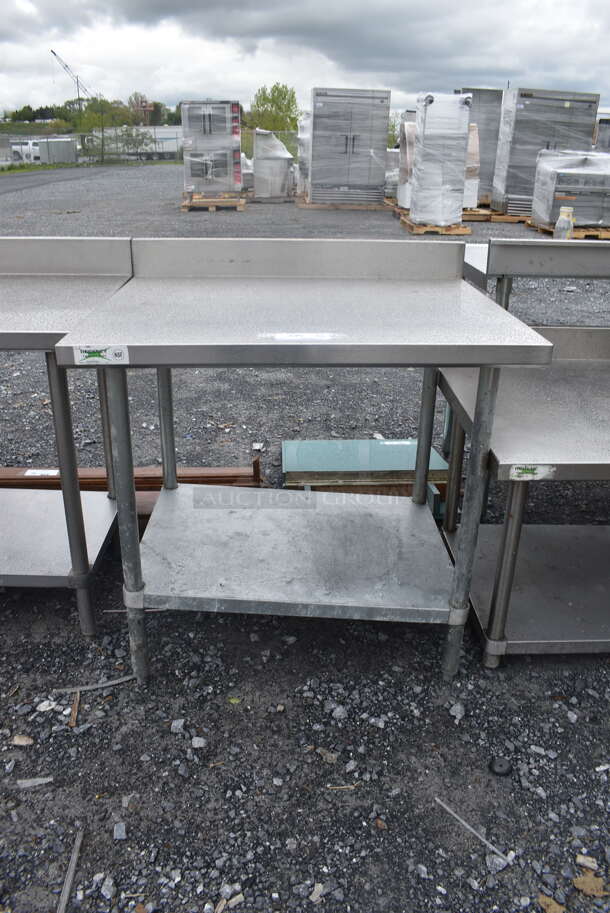 Regency Stainless Steel Table with Undershelf