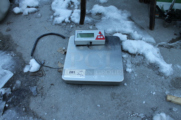 Taylor TE150 Stainless Steel Commercial 150 Pound Food Portioning Scale w/ Control Head.