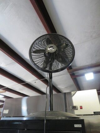 One Lasko Floor Fan.