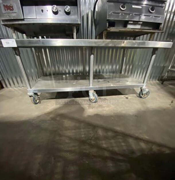 All Solid Stainless Steel Heavy Duty Equipment Stand! With Storage Space Underneath! On Casters!