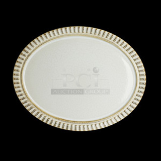 2 BRAND NEW! Steelite 6162RG129 13-3/4" Oval Porcelain Platters. 2 Times Your Bid!