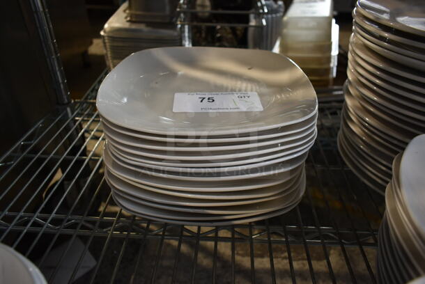 13 White Ceramic Plates. 13 Times Your Bid!