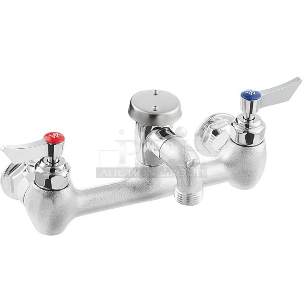 BRAND NEW SCRATCH AND DENT! Waterloo 750FSS8 Wall-Mounted Service Sink Faucet with 8" Centers