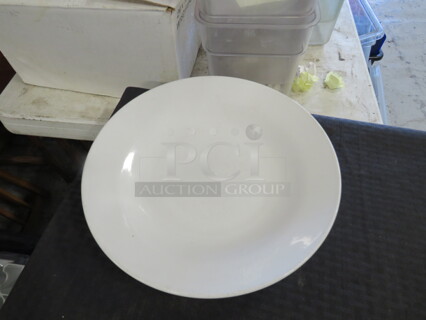 11 Inch WORLD Pasta Bowl. 12XBID