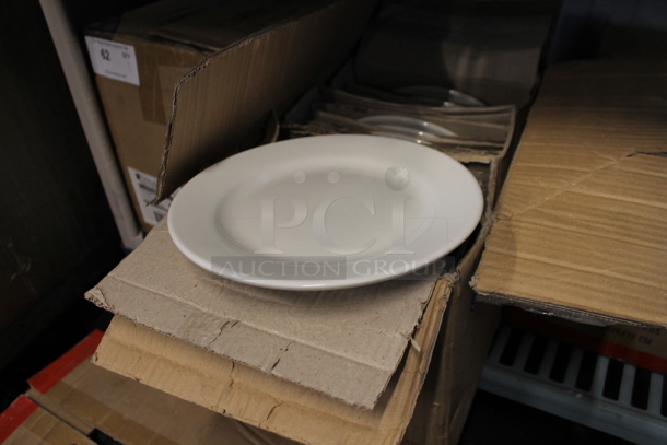Box of 24 BRAND NEW! TriMark 9-3/4" White Ceramic Plates.