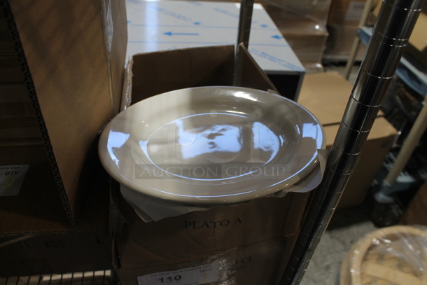 Box of 12 BRAND NEW Steelite P401 9-5/8" Rim Plate. 