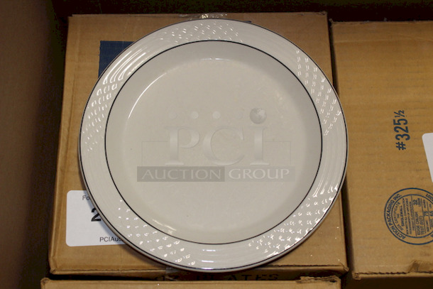 NEW! Case of 12 Sterling China 9-3/4" Plates. 