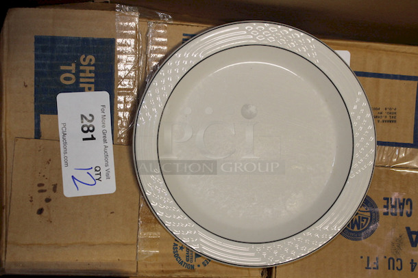 NEW! Case of 12 Sterling China 9-3/4" Plates. 