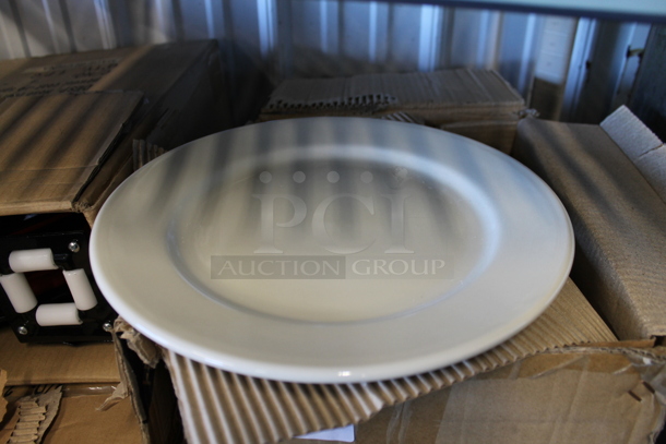 Box of 12 BRAND NEW! TriMark 12" White Ceramic Plates.