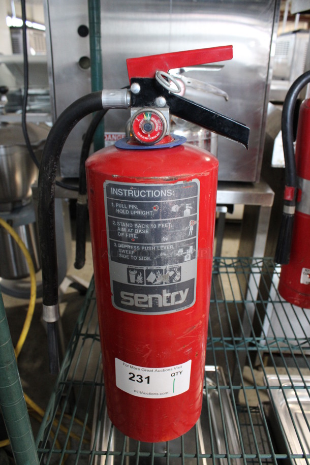 Sentry Dry Chemical Fire Extinguisher. 5.5x8x19