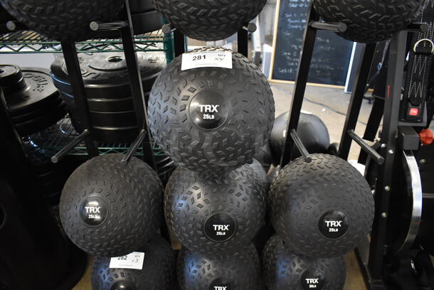 4 TRX 25 Pound Medicine Balls. 4 Times Your Bid!