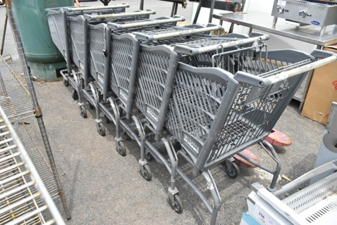 6 Gray Shopping Carts. 6 Times Your Bid!